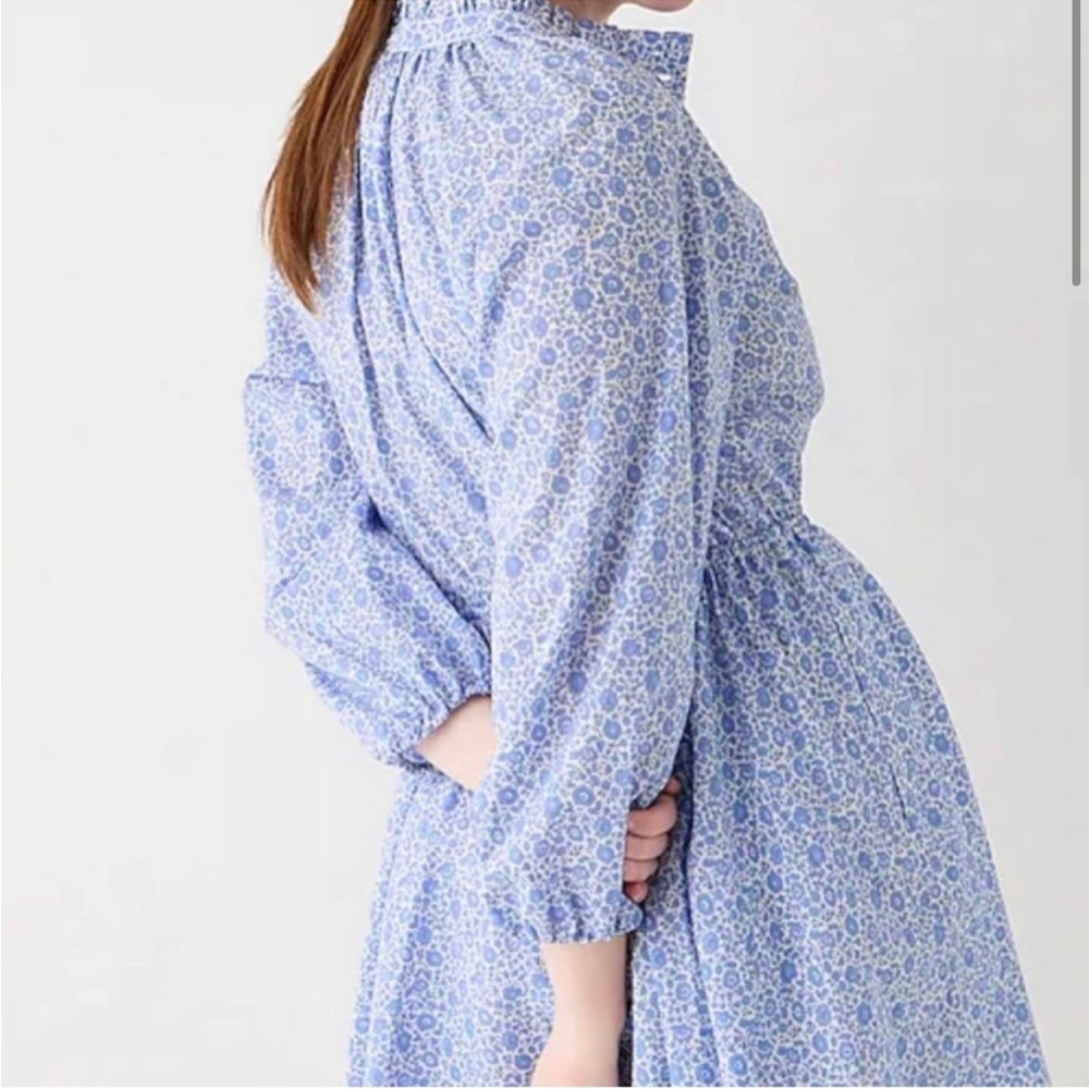 J.Crew Liberty Print D’Anjo Coast Floral Shirt Dress